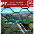 High Quality Galvanized Hexagonal Wire Mesh(factory)